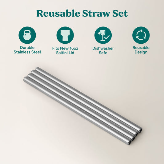 saltini-straw-set-p5 4PK_SaltiniStraws_SS-2.jpg