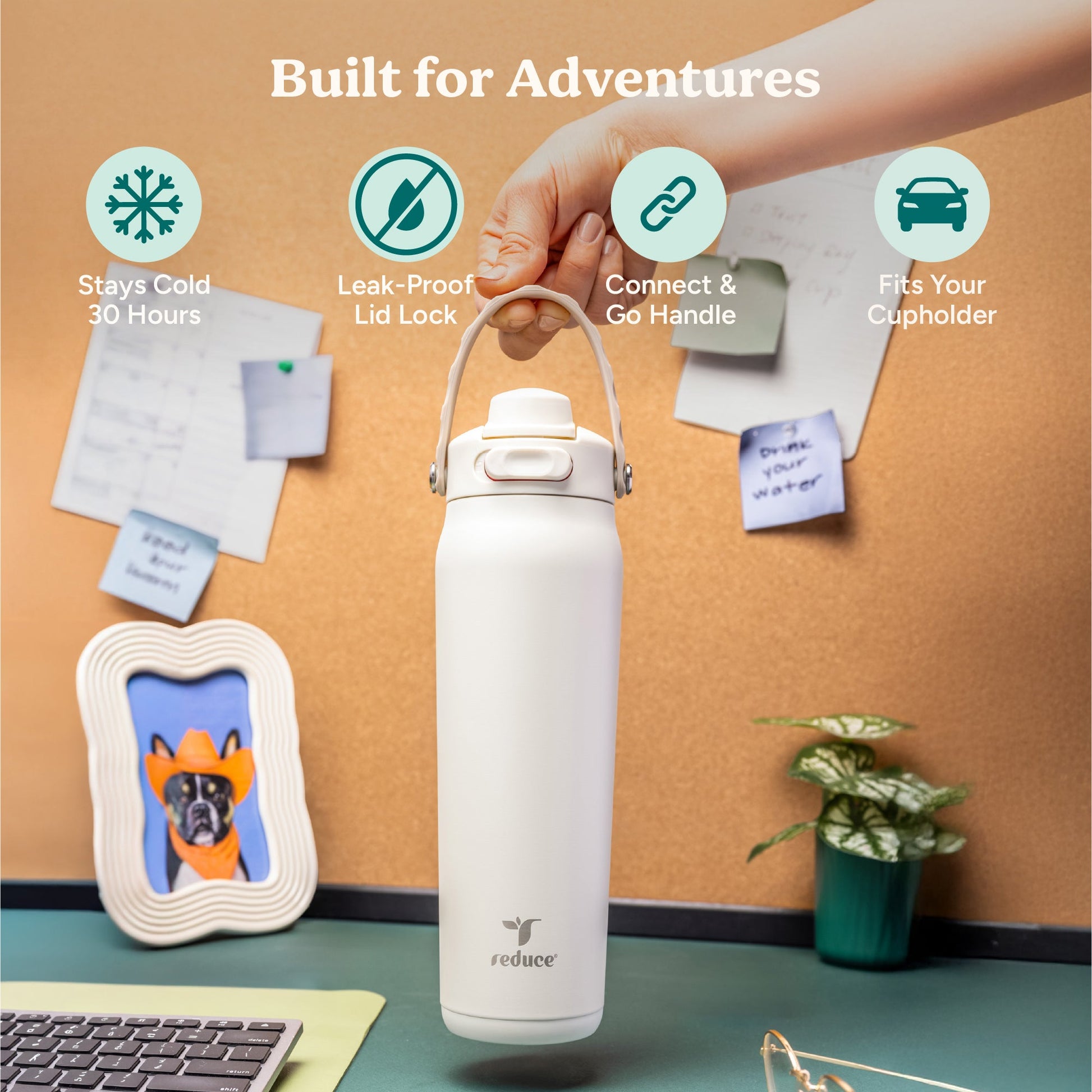 aura-26-oz-o6 Aura_26oz_Unbleached_PDP_Infographic_1.jpg