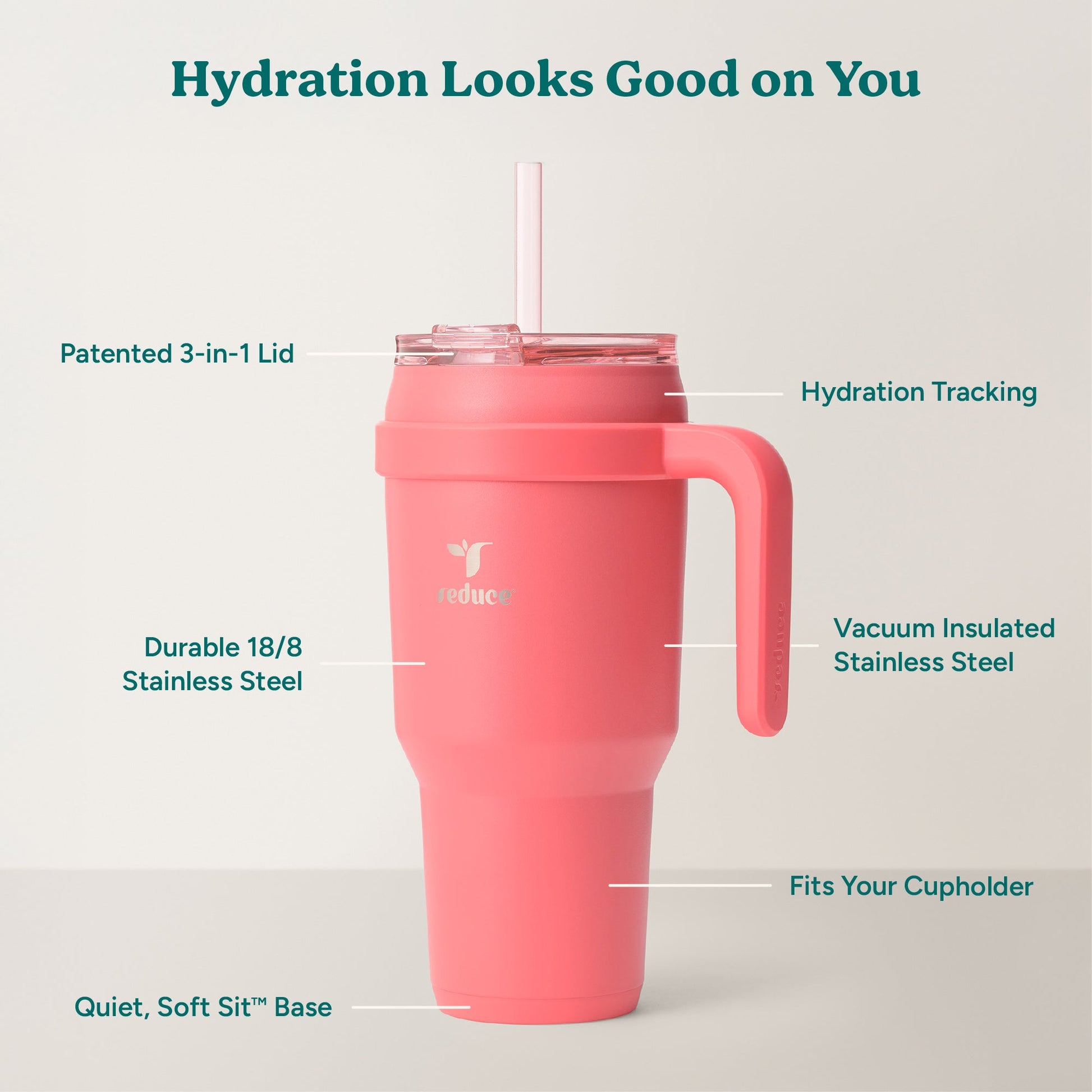 cold1-40-oz-i1 Cold1_40oz_Daiquiri_Infographic_2.jpg