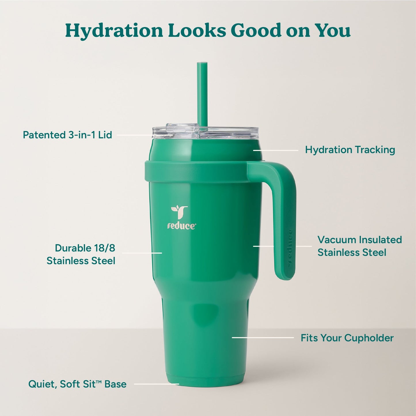 cold1-40-oz-i1 Cold1_40oz_PalmLeaf_Infographic_2.jpg
