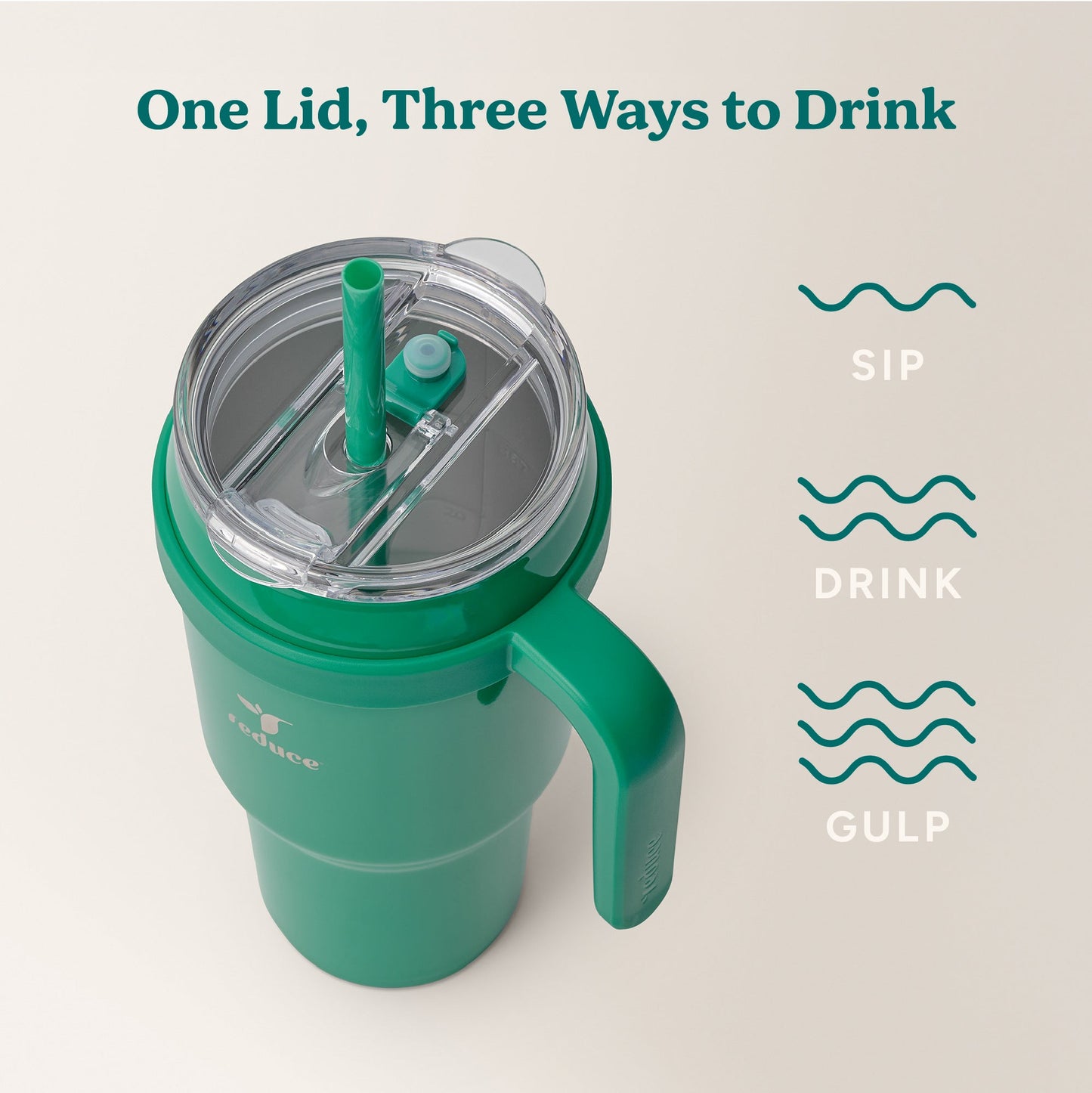 cold1-40-oz-i1 Cold1_40oz_PalmLeaf_Infographic_3.jpg
