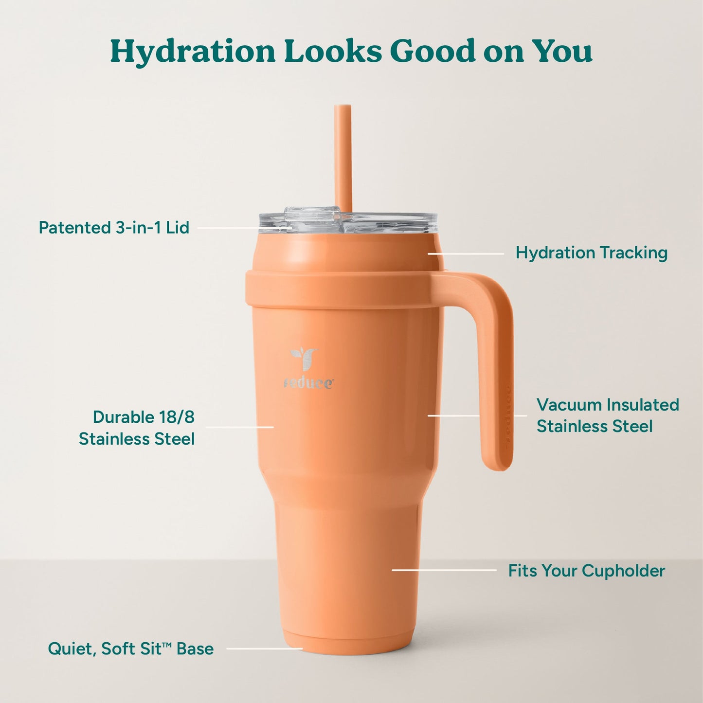 cold1-40-oz-i1 Cold1_40oz_Papaya_Infographic_2.jpg