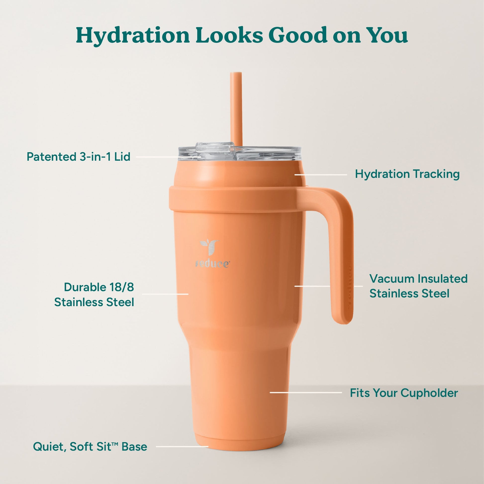 cold1-40-oz-i1 Cold1_40oz_Papaya_Infographic_2.jpg