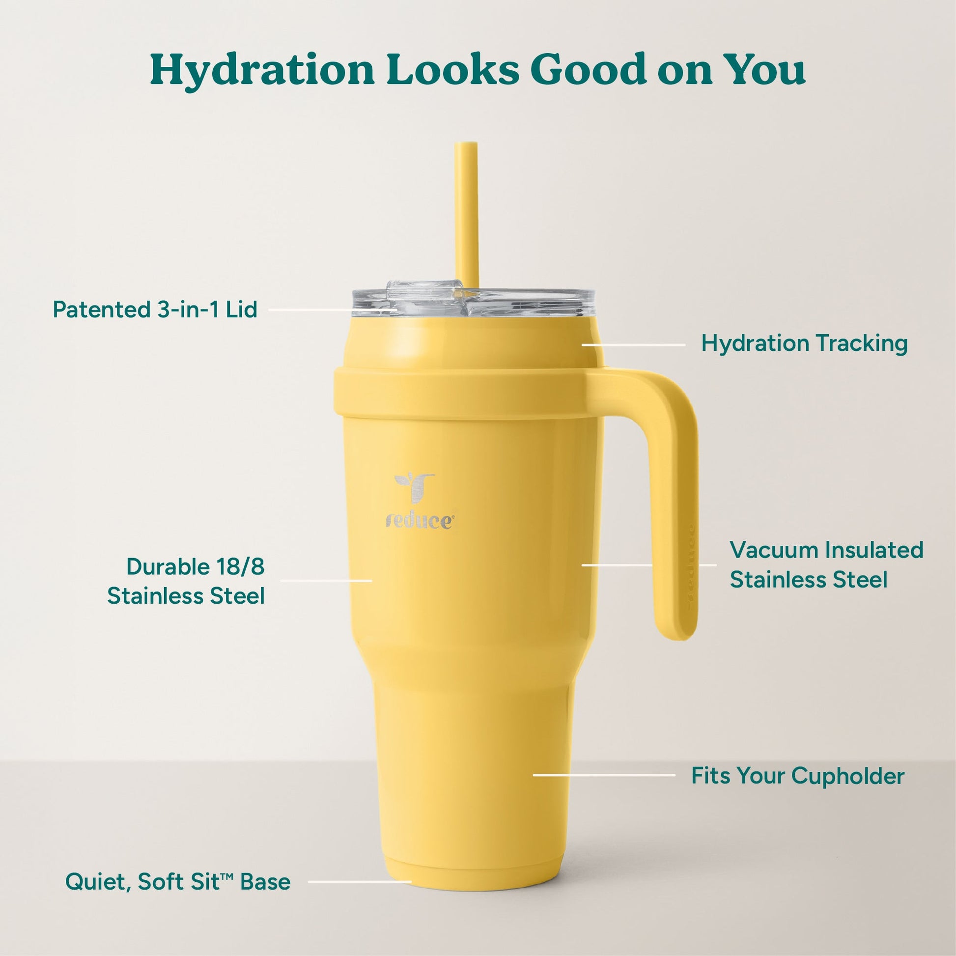 cold1-40-oz-i1 Cold1_40oz_Pineapple_Infographic_2.jpg